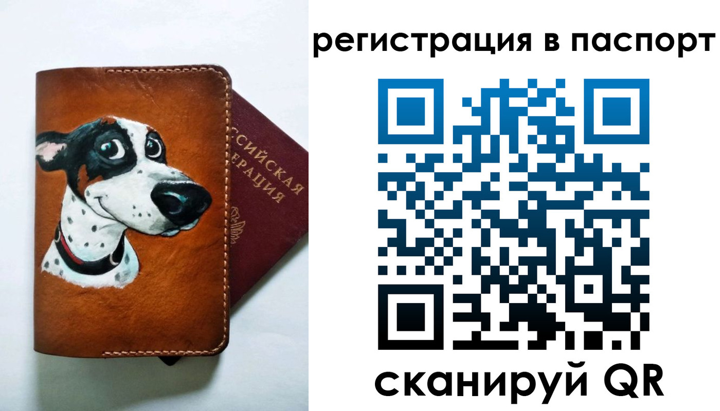 прописка штамп в Волгодонске